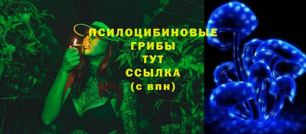прущий лед Нягань