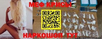 гашик Аргун