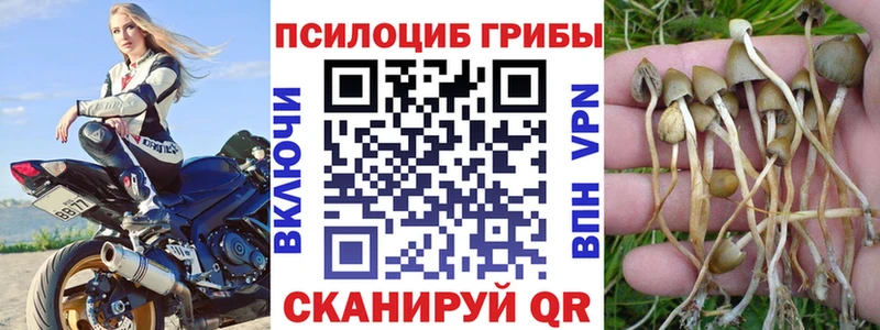Галлюциногенные грибы GOLDEN TEACHER  мега ТОР  Истра 