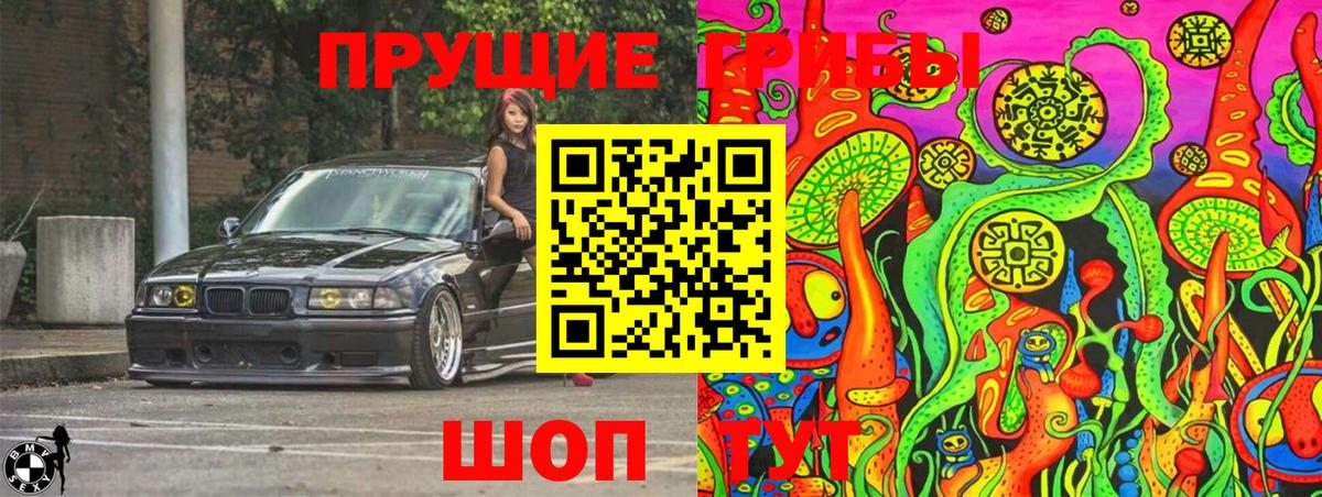 Псилоцибиновые грибы Psilocybe  Истра 