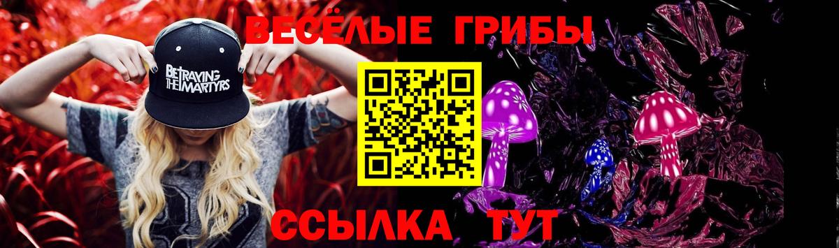 купить наркоту  Вход с VPN  Истра  Галлюциногенные грибы Cubensis  Галлюциногенные грибы Psilocybe 