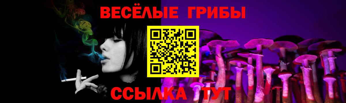 Псилоцибиновые грибы Magic Shrooms Истра